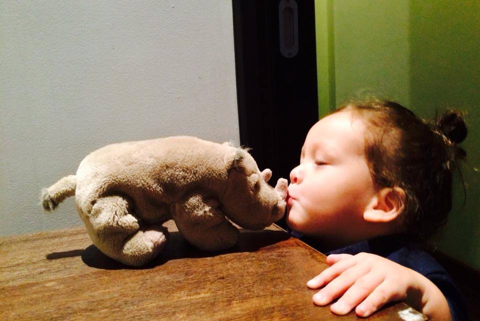Chị Bống Hồng Nhung khoe ảnh bé Tôm hôn chú tê giác bằng bông vô cùng đáng yêu.