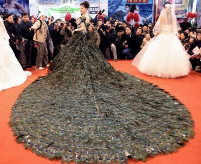 Chiếc váy cưới được làm từ hàng ngàn sợi lông của chim công.