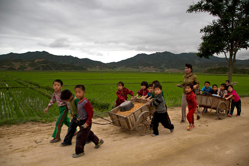 Học sinh giúp đỡ lấp những ổ gà trên một đoạn đường nông thôn ở tỉnh Bắc Hamgyong.