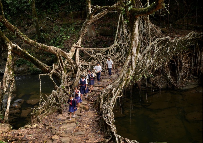Học sinh đi qua cây cầu được làm từ dễ cây.