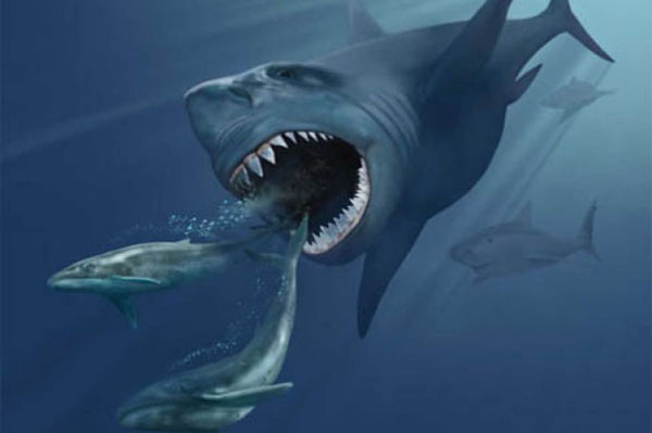 Cá mập megalodon được coi là loài cá mập lớn nhất từng sống trên Trái đất tung hoành ở các đại dương từ khoảng 28 triệu năm cho đến tầm 1,6 triệu năm trước.