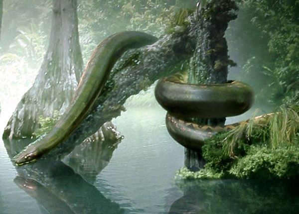 Trăn Titanoboa sống từ 60 – 58 triệu năm trước dài khoảng 42 mét và nặng tới 2.500 kg. Chúng có thể nuốt trọn một con cá sấu Deinosuchus, và cả một chiếc xe bus.