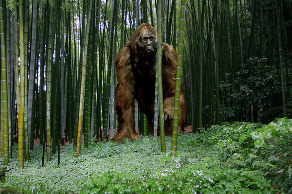Dã nhân Gigantopithecus sống giữa 9 triệu đến 100.000 năm trước ở châu Á cao hơn 3 mét, nặng 1.200 kg, là động vật linh trưởng to lớn nhất từng biết.
