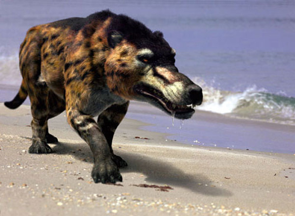 Andrewsarchus là động vật có vú ăn thịt to lớn với cân nặng tới 1.800 kg.