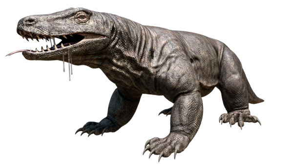 Chúng dài 7,6 mét và phá kỷ lục loài thằn lằn cạn khổng lồ nhất sau khủng long.