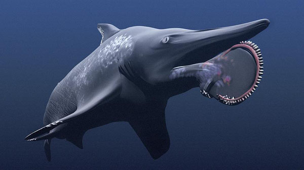 Helicoprion là sát thủ đại dương từ 310 – 250 triệu năm trước có cơ thể rất giống cá mập ngoài trừ cụm răng xếp theo xoắn ốc – thứ vũ khí hạng nặng để chúng xé nát con mồi.