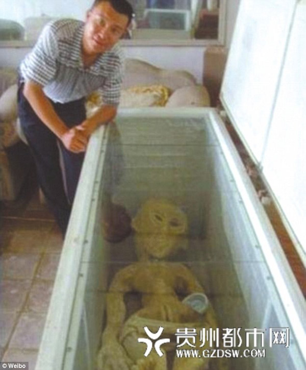 Tháng 12/2013, một người đàn ông Trung Quốc đã đăng tải hình ảnh của mình đứng bên cạnh một 'người ngoài hành tinh' trong tủ lạnh.