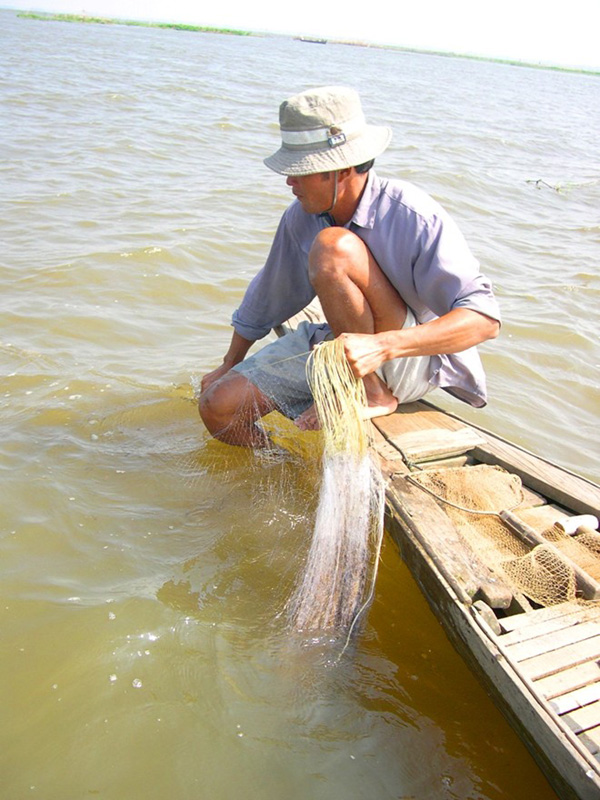 Những hộ gia đình không đủ điều kiện sắm lưới đáy hay dớn thì trang bị những tay lưới, câu với chiếc xuồng “đuôi tôm” cũng có thể đánh bắt được loài cá này.