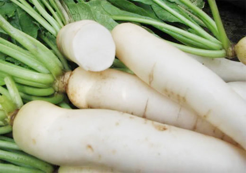 Củ cải trắng là một loại thực phẩmtại vùng đùi rất tốt, nó có khả năng thúc đẩy các axit béo trao đổi nhiều hơn, tiêu hao mỡ nhiều hơn.