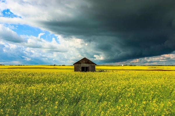 Quang cảnh tuyệt vời tại Alberta, Canada.