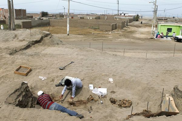 Tại đây, nhóm nghiên cứu nhanh chóng tìm ra 42 bộ xương của trẻ em và 76 lạc đà không bướu có niên đại khoảng 600 năm tuổi.