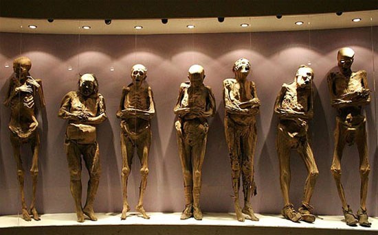 Bảo tàng trưng bày xác ướp El Museo De Las Momias (ở Guanajuato, Mexico) gồm rất nhiều các bộ xác ướp được lưu giữ sau trận dịch tả tấn công thành phố Guanajuato năm 1833.