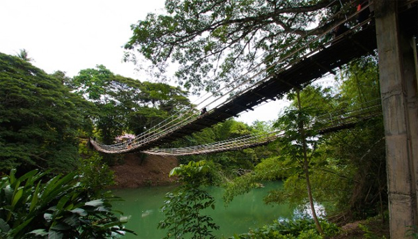 Cây cầu Tigbao Hanging ở Phillipines được làm từ kim loại nhưng lại được phủ bên ngoài bằng trúc nên được coi là thân thiện với môi trường.