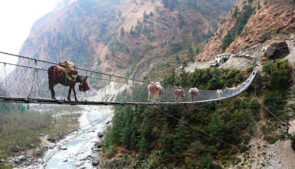 Cầu Hanging ở Ghasa, Nepal được xây dựng nhằm giúp con người và động vật vượt qua một con sông chảy xiết. Nó là tuyến đường huyết mạch của người dân địa phương.