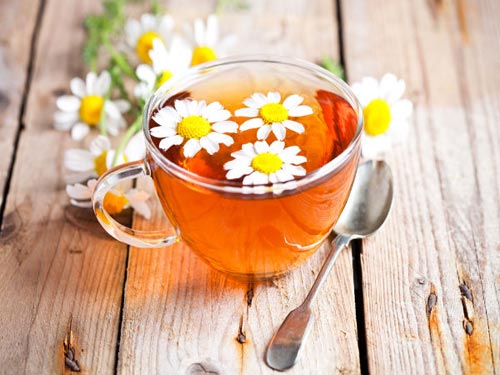 Trà hoa cúc - Có rất nhiều loại trà thảo dược tốt cho chị em mang thai và trà hoa cúc là một ví dụ. Loại trà này không chỉ tốt cho vị giác, giúp giảm cảm giác buồn nôn mà còn có lợi cho sức khỏe mẹ bầu.