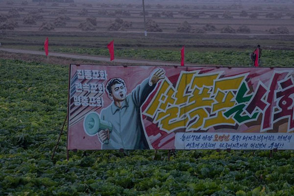Một áp phích tuyên truyền đặt giữa cánh đồng rau ở hợp tác xã Migok.
