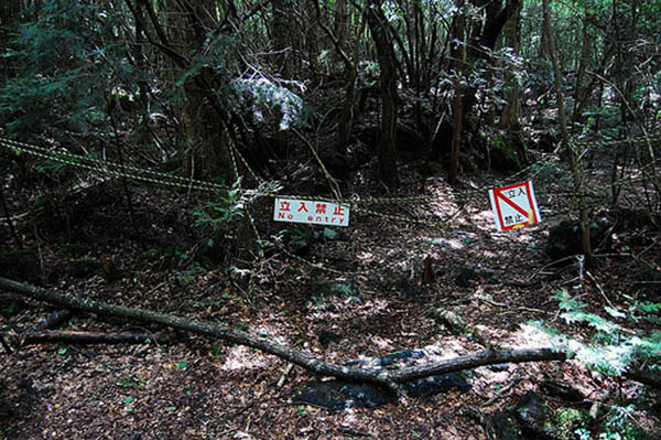 Vì quá nhiều người tự sát trong khu rừng này, nên giờ đây, khu rừng Aokigahara là một địa điểm ám ảnh và đáng sợ nhất đối với người dân Nhật Bản.