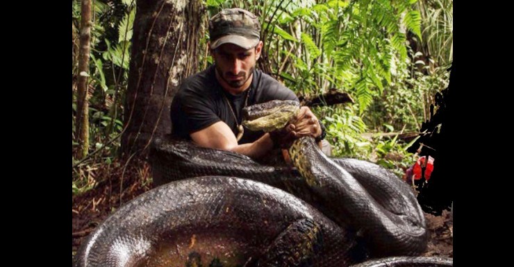 Paul Rosolie - chuyên gia về động vật hoang dã, nhà tự nhiên học, đã ký hợp đồng để mình bị một con trăn khổng lồ Anaconda nuốt chửng trên show truyền hình thực tế Eaten Alive (Ăn tươi nuốt sống) của Discovery Chanel.