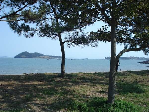 Vùng biển từ từ tách đôi, để lộ ra con đường dài 2.8 km, rộng khoảng 40m, nối liền hai đảo Jindo và Modo.