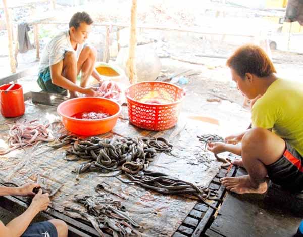 Khu vực biên giới giáp Campuchia thuộc xã Vĩnh Hội Đông, huyện An Phú, tỉnh An Giang là nơi sản xuất khô rắn nổi tiếng ở miền Tây.