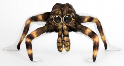 Một trong những hình ảnh ác mộng nhất chính là con nhện đen lớn lông lá ở vùng nhiệt đới này.