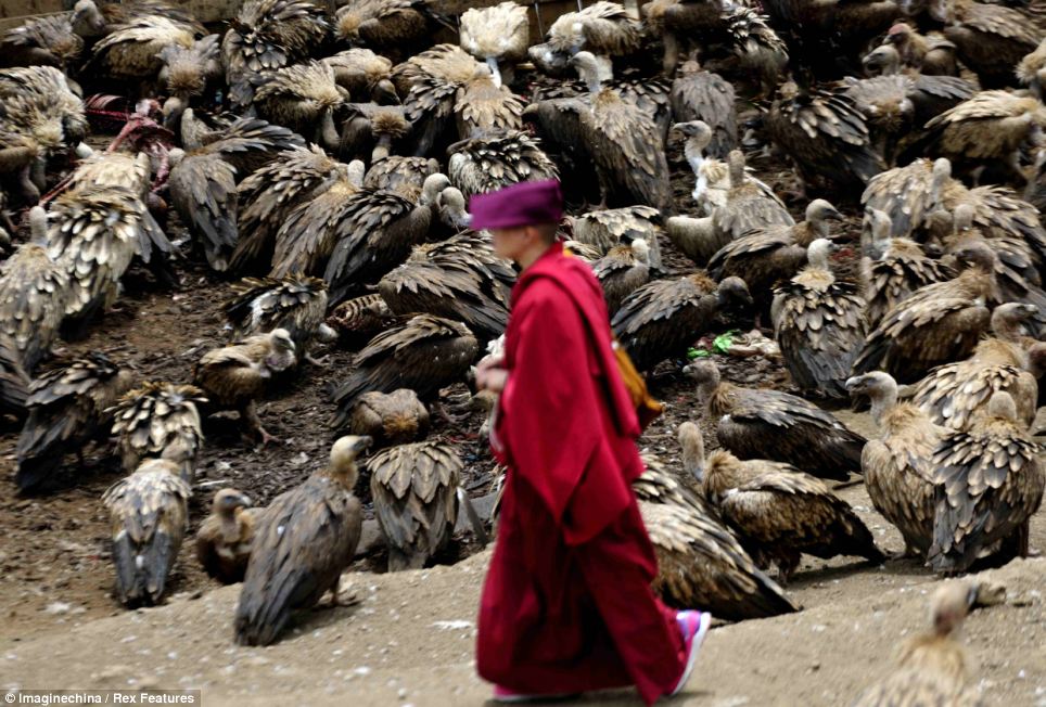 Đến với một số cao nguyên của Tây Tạng, người ta sẽ không khỏi rùng mình khi chứng kiến hủ tục mai táng người chết bằng... chim kền kền.