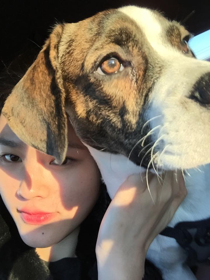 Người mẫu Tuyết Lan đi chơi với chú chó cưng Charlie tại New York