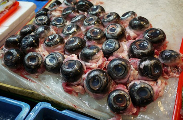 Những con mắt to bằng quả trứng gà, với hương vị bùi béo và phần thịt thơm ngon ở đáy mắt, như mùi mực luộc là nhận xét mà những thực khách gan dạ đã nếm thử món mắt cá ngừ ở Nhật Bản, Trung Quốc...