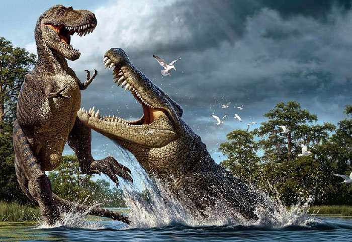 Cá sấu khổng lồ sở hữu hàm răng sắc nhọn và mạnh mẽ. Chúng sống ở vùng Nam Mỹ khoảng 8 triệu năm về trước với chiều dài từ 12-15m và khối lượng gần 10 tấn. 'Quái vật đầm lầy' có thể nghiền nát mọi thứ, kể cả lớp da cứng như thép hay khủng long bạo chúa T-Rex.