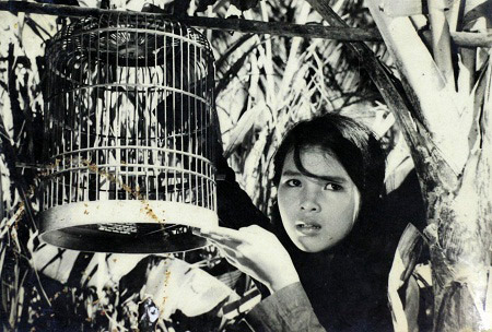 Với sự thành công ngoài sức tưởng tượng của phim 'Con chim vành khuyên', NSƯT Tố Uyên đã được nhiều người biết đến trong bộ phim: Vợ chồng anh Lự, Biển gọi, Dòng sông âm vang…