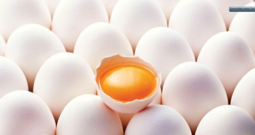 Trứng gà dồi dào choline, giúp điều hòa hệ thần kinh, não bộ và tim mạch.