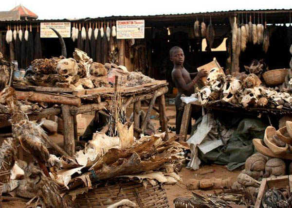 Khu chợ độc nhất vô nhị mang tên Akodessewa Fetish nằm ngay giữa Thủ đô Lome của Togo (Tây Phi).