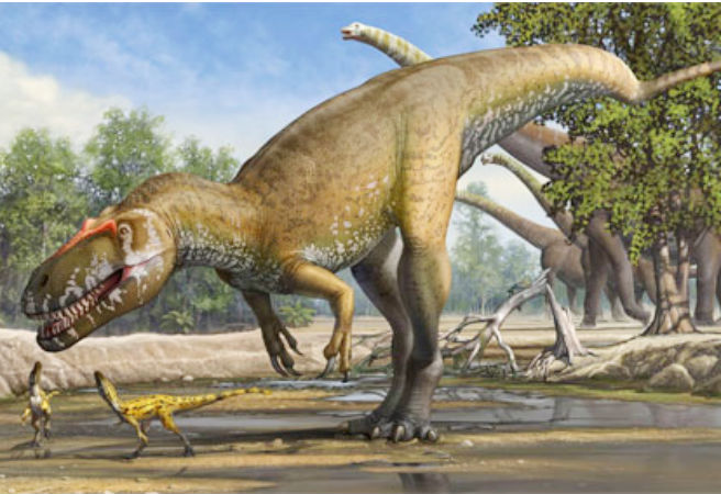 khủng long Torvosaurus gurneyi là loài ăn thịt đứng bằng hai chân, mõm dài, răng lớn hình lưỡi kiếm dài khoảng 10cm. Là khủng long lớn nhất tại Châu Âu.