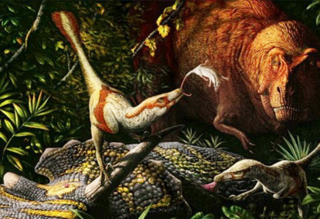 Khủng long Archeroraptor đi trên hai chân lớn, có sọ dài và hàm răng giống dao găm. Đây là một trong những loài khủng long chim ăn thịt cuối cùng sống ở Tây Bắc nước Mỹ cách đây 66-67 triệu năm.