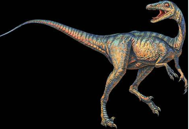 Troodon là một trong những loài có kích thước não lớn nhất trong họ nhà khủng long. Chính vì vậy mà Troodon là một trong những loài khủng long nguy hiểm.