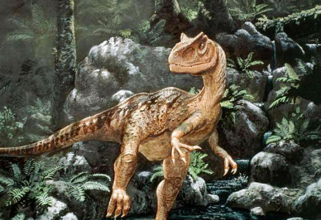 Allosaurus được mệnh danh là con vật săn mồi khát máu nhất sống ở thời kì cuối kỉ Jura.