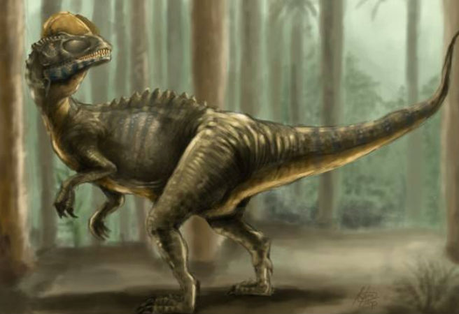 Dilophosaurus không có ưu thế về kích thước nhưng lại được xếp vào danh sách một trong những loài khát máu với ưu điểm di chuyển nhanh nhẹn và sử dụng móng vuốt nguy hiểm và hàm răng nhọn để săn mồi.