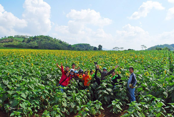 Cánh đồng nằm ở nông trường 19/5, xã Nghĩa Sơn, Nghĩa Đàn, Nghệ An, cách thành phố Vinh gần 100 km.