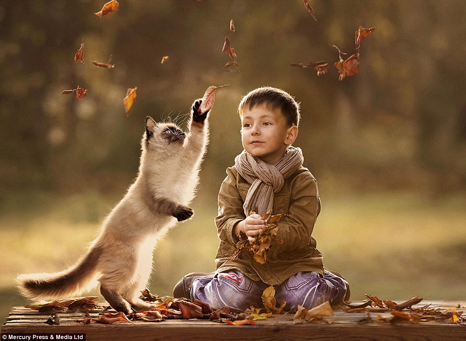 Khoảng khắc cầu bé và chú mèo cùng nhau nhặt lá khô cho thấy tình cảm đặc biệt giữa động vật nuôi và con người.