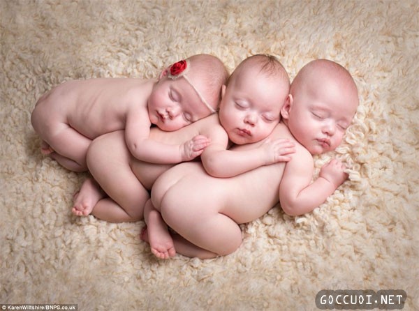 Nhìn những bức ảnh này chắc nhiều mẹ cũng ước ao được sinh ba.