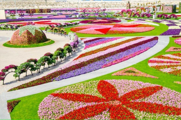 Ngay giữa bầu không khí nóng nực ở Dubai, khi bước chân vào khu vườn du khách có cảm giác khác hẳn. Bao trùm khắp không gian là muôn ngàn sắc hoa khác nhau được sắp xếp theo hình khối đặc biệt.