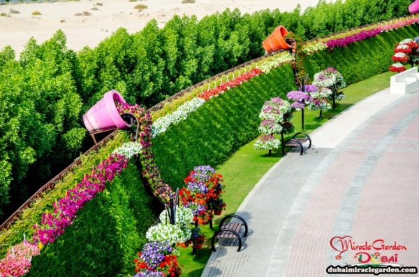 Khu vườn thường được mở cửa từ tháng 10 tới cuối tháng 5 năm sau, đóng cửa trong suốt những tháng hè ở Dubai để tránh nhiệt độ không khi lên quá cao.
