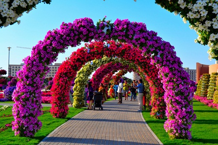Vườn hoa Dubai Miracle là khu vườn tự nhiên lớn nhất thế giới với diện tích 72.000 m2, trồng 45 triệu bông hoa.
