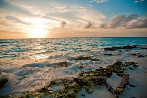 Đảo Midway, Hawaii. Mặc dù không được biết đến như là một địa điểm du lịch nổi tiếng, nhưng Đảo Midway là một trong những địa điểm đẹp nhất trên Trái Đất.