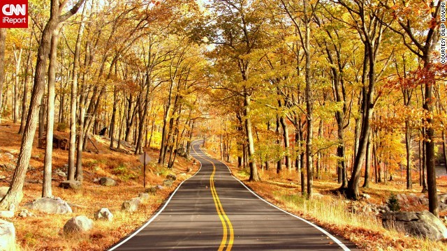 Công viên Harriman, New York, Mỹ: Tán lá vàng và đỏ trải dọc theo con đường đơn độc.