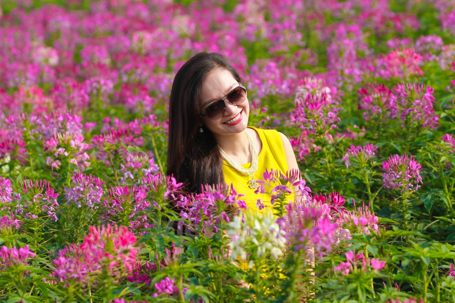 Bên cạnh vườn hoa Nhật Tân vốn đã rất quen thuộc với teen Hà thành, có một địa điểm đang cực thu hút giới trẻ tới chụp ảnh ngay trong lòng thành phố, đó là vườn túy điệp bên cạnh Hồ Tây.
