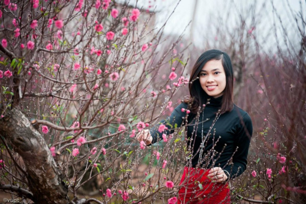 Vườn hoa Nhật Tân (Hà Nội) với sắc đào tươi thắm luôn được nhiều bạn trẻ lựa chọn.