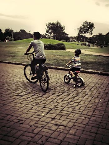 Cha con Cường Đô la và Su Beo cùng đi xe đạp.