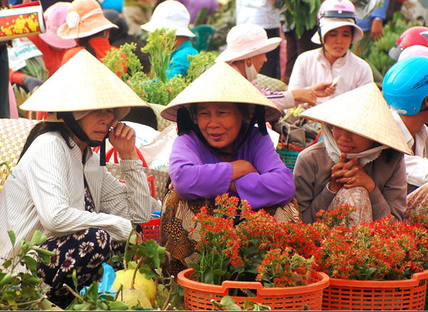 Hoa, cây giống cũng được bán ở chợ quê.