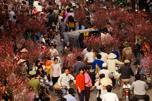 Hoa đào xuống phố làm rực sáng cả khu phố. Người bán, người mua tấp nập trong phiên chợ Tết ngày 10/2/1994.